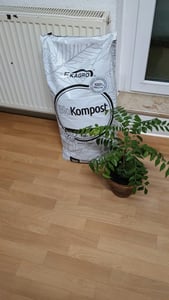 Wermikompost 40 L: biohumus, nawóz wermikompostowy, uniwersalny nawóz do pomidorów, kompost organiczny Zdjęcie produktu od klienta nr 1