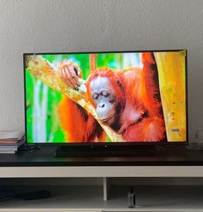 Toshiba 40LV3E63DG, 101,6 cm (40"), 1920 x 1080 Pixel, Full HD, LED, Smart-TV, Schwarz Kunden-Foto 1