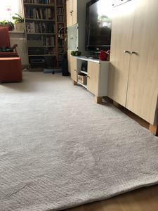 TT Home Wohnzimmer Teppich Kurzflor Anti-Rutsch Rückseite Unifarben Modern Waschbar Größe 300x400 cm Kunden-Foto 11