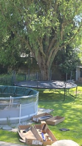 Aga SPORT EXCLUSIVE Trampolin 427 cm 14 ft Schwarz, Kindertrampolin, Gartentrampolin mit Sicherheitsnetz + Schutznetz + Leiter Kunden-Foto 3