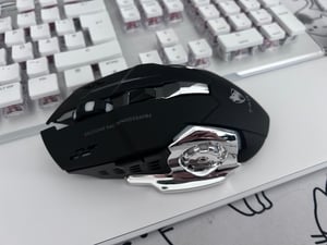 RGB Gaming Maus Kabellos Wireless Leise Mouse PC Laptop E-Sport LED USB-Dongel Kunden-Foto 1