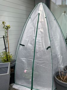 Westmann Überwinterungszelt & Foliengewächshaus Avocado Weiß 250x250x250 cm Kunden-Foto 5