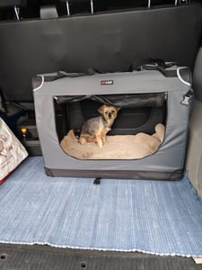 CADOCA® Hundebox XL 82x56x58cm faltbar atmungsaktiv robust Hundetransportbox Transporttasche Haustiertransportbox Hundetragetasche Grau Kunden-Foto 2