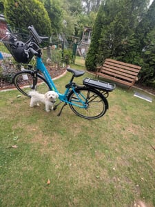 Zündapp Z600 City E Bike Damen 28 Zoll türkisblau Kunden-Foto 2