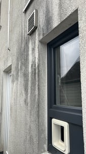 ABACUS® Steinreiniger Extrem, intensiver Steinreiniger für außen mit Sofortwirkung, entfernt sofort Schmutz, Grünbelag & Flechten auf Steinen 1x 2,5L Kunden-Foto 7