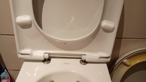 Calmwaters® Antibakterieller WC Sitz für Keramag Renova Nr. 1, Toilettensitz mit Absenkautomatik, Duroplast Toilettendeckel, überlappende D-Form, Edelstahlscharnier, Klodeckel, Weiß, 26ZZ3550 Kunden-Foto 1