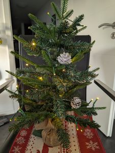 UISEBRT 60 cm mini kunstkerstboom met LED-verlichting, kerstboom decoratieboom van PE en PVC, met jutssok en dennenappels, voor binnenshuis, kerstdecoratie Klantenfoto 1