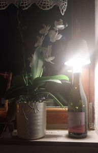 Led Flaschenleuchte Wiederaufladbare,Flaschenlampe Touch Tischlampe Mit Batterie Dekoleuchten Für Innen Außen Terrasse Patio Garten Party Bar Kunden-Foto 1