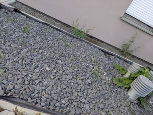 Keine gute Qualität 