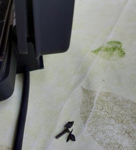 Clatronic Waffeleisen m. 2 großen Backflächen | Antihaftbeschichtung | belgische Waffel | stufenlos regelbarer Bräunungsgrad | Waffle Maker | WA 3606 Kunden-Foto 2