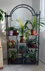 WISFOR Porte-fleurs, 2 étagères à plantes avec 6 niveaux/4 crochets, 136.5cm de haut Porte-plantes Étagère à fleurs pour balcon intérieur Escalier à fleurs salon Photo du client 5