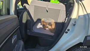 Skládací přepravka pro psy TRESKO® béžová (M 61x42x42cm) včetně podložky na lízání, lopatky a odrazky | přepravní box pro psy a kočky | přepravní box pro malé a velké psy | robustní taška pro psa Fotografie od zákazníka č. 5