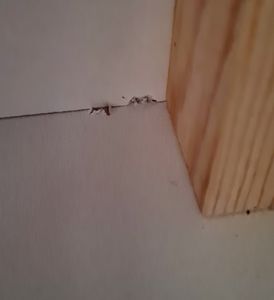 Boxspringbett LAXA 160X200 