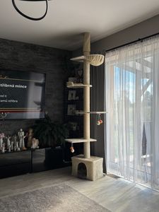 Feandrea Kratzbaum deckenhoch, 231-291 cm höhenverstellbarer xxl, hoher mehrstufiger Katzenkratzbaum, 11 cm dicke Stämme hellgrau Kunden-Foto 15