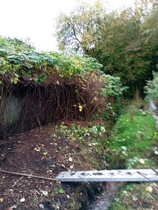Akku Rasentrimmer 750W mit 2 Akkus & Ladegerät, Freischneider Gartengeräte mit Fugenbürste & Unkrautbürste | Grau Kunden-Foto 1
