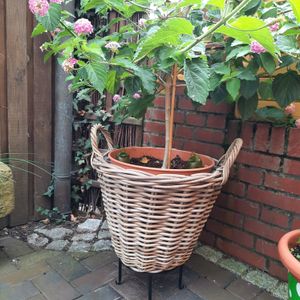 Henkel Pflanzkorb aus Weide - natur - Größe: 45 cm (XL) Kunden-Foto 2