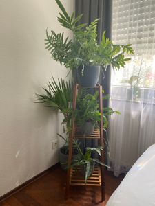 WISFOR Escalier à fleurs avec 4 niveaux, étagère à fleurs Support à fleurs en bambou, étagère à plantes pour intérieur extérieur salon balcon jardin Photo du client 1