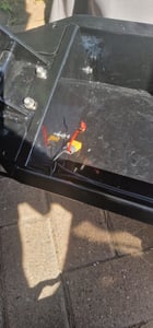eFlux E-Scooter Street 20 Pro | Scooter Klappbar - Elektro Roller - Straßenzulassung - Sitz höhenverstellbar - E-Roller - 20 km/h - 500 W (Schwarz) Kunden-Foto 2