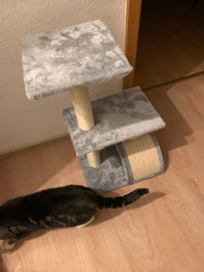 PawHut Kratzbaum 72 cm Katzenturm mit Plüschballen, Sisalstämme Hellgrau Kunden-Foto 1