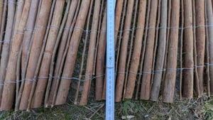 Weidenzaun Natur Sichtschutz aus Holz kürzbar rostfrei Fachhandel-Qualität 150x500 cm Kunden-Foto 1