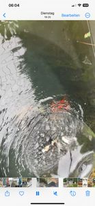 CLGarden Teichpumpe SP3BFB mit Filter Unterwasserfilter Teich Set Fontäne für Wasserspiel Teichfilter mit Pumpe Filterpumpe 12V AC Kunden-Foto 1