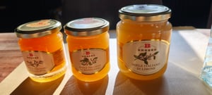 Italienischer Mandarinenhonig, 250 g (Miele di Mandarino) Kunden-Foto 1