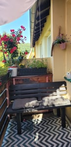 vidaXL Gartenbank Grün 110x52x71 cm Polypropylen Kunden-Foto 1
