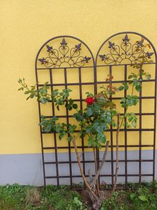 Prächtiges Rankgitter Rankhilfe Rankzaun Eisen 185 x 58 cm Kunden-Foto 1