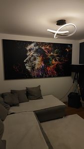 Wandbild Mega XXXL Tiere 250x125 cm Einteiliger XXL-Format Kunstdruck zur Selbstmontage Leinwandbilder moderne Bilder DIY Wanddekoration Wohnung Deko Löwe bunt Gesicht Abstrakt g-C-0269-ak-e Kunden-Foto 1