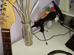 Nedis MPWD15BK, zwart Klantenfoto 1