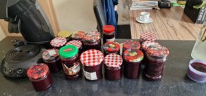 Cunsieun Entsafter, 1000-W-Entsafter für ganze Früchte und Gemüse, Zentrifugal-Entsafter BPA-frei (Silber) Kunden-Foto 1
