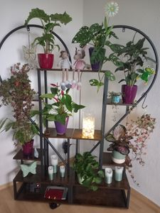WISFOR Porte-fleurs, 2 étagères à plantes avec 6 niveaux/4 crochets, 136.5cm de haut Porte-plantes Étagère à fleurs pour balcon intérieur Escalier à fleurs salon Photo du client 11