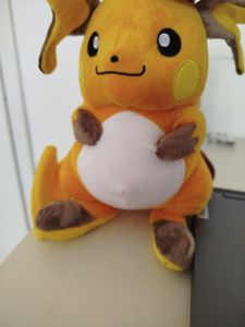 Jazwares Pokémon Karnimani Plüschfigur 20cm, 15,99