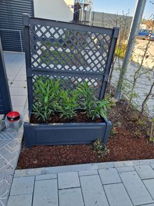 KHW Pflanzkasten 100 cm mit Spalier, Abmessungen B 100 x T 43 x H 140 cm, hochwertiger Kunststoff,  stabil, witterungs-/UV-beständig. Farbe: Anthrazit Kunden-Foto 2