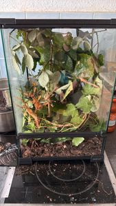 Repti-Zoo Terrarium HK18 21x21x20cm Repti-Zoo Kunden-Foto 1