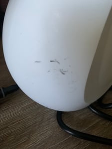 Dampfreiniger – Handdampfreiniger – Fleckenentferner – Boden, Bad, Küche – Teppichreiniger – 1050 W Kunden-Foto 1