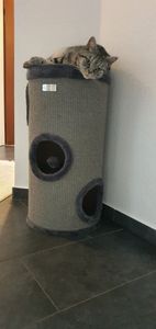 lionto Katzen Kratzturm, Sisal-Kratztonne 70 cm mit 3 Eingängen & Kuschelbett, robust & platzsparend, grau Kunden-Foto 1