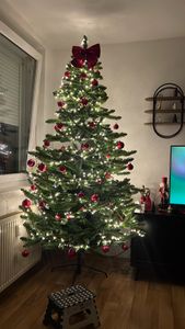 Hoogwaardige kunstkerstboom, Spaanse dennensoort, 220 cm Klantenfoto 1