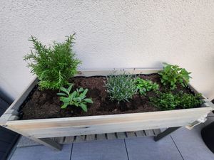 mgc24 Hochbeet Massiv L 118x40x78cm Kiefernholz natur Kunden-Foto 1