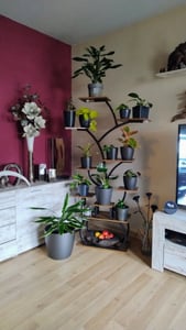 Blumenständer mit Wachstumslicht, 8 Ebenen Blumentreppen, 4 Räder，122cm/126.5cm Hoch Pflanzenständer Metall Blumenregal für Indoor Balkon,Weiß Kunden-Foto 2