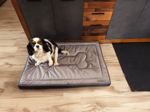 Lit orthopédique pour chien, matelas pour chien, Welsti brown bone XL 130x90 antidérapant Photo du client 2