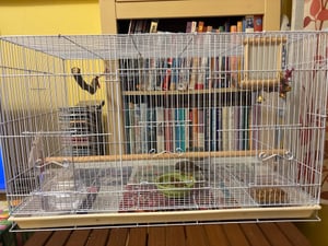 Gabbia per uccelli VEVOR, gabbia in metallo per piccoli pappagalli, canarini, cacatua, inseparabili, fringuelli, pappagallini, conures, casetta per uccelli Foto del cliente 2