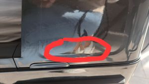 Vom Kunden hochgeladene Foto