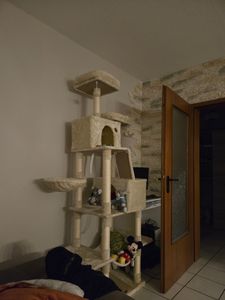 Mega Kratzbaum 