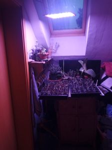 Leichte Lampe mit guter Aufhängung 