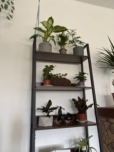VASAGLE Bücherregal, Leiterregal mit 5 Ablagen, Standregal, Industrie-Design Kunden-Foto 1