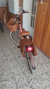Via Veneto by Canellini Fahrrad Citybike Frau Aluminium mit Korb und Tasche - Olivgrün 46 Kunden-Foto 9