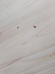 Juskys Bierzeltgarnitur Bichl 3-teilig klappbar - Biertisch + 2 Bierbänke - Holz Kunden-Foto 6