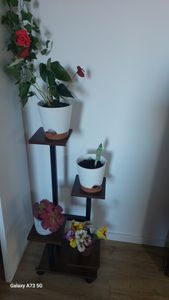 Schönes Design 