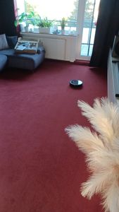 WIFI nur 2,4Ghz.